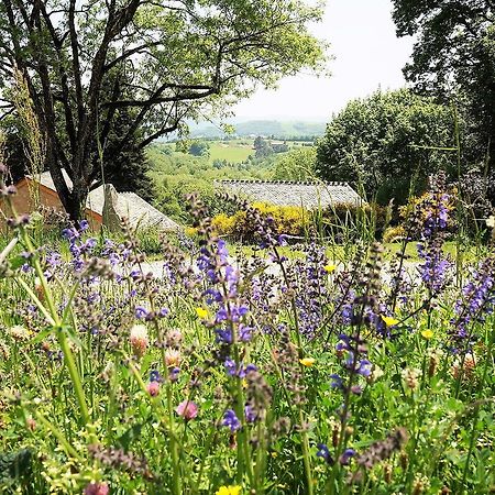 Domaine Des Marequiers Chambre Alchemille Bed and Breakfast Saint-Germain-du-Teil Exterior foto