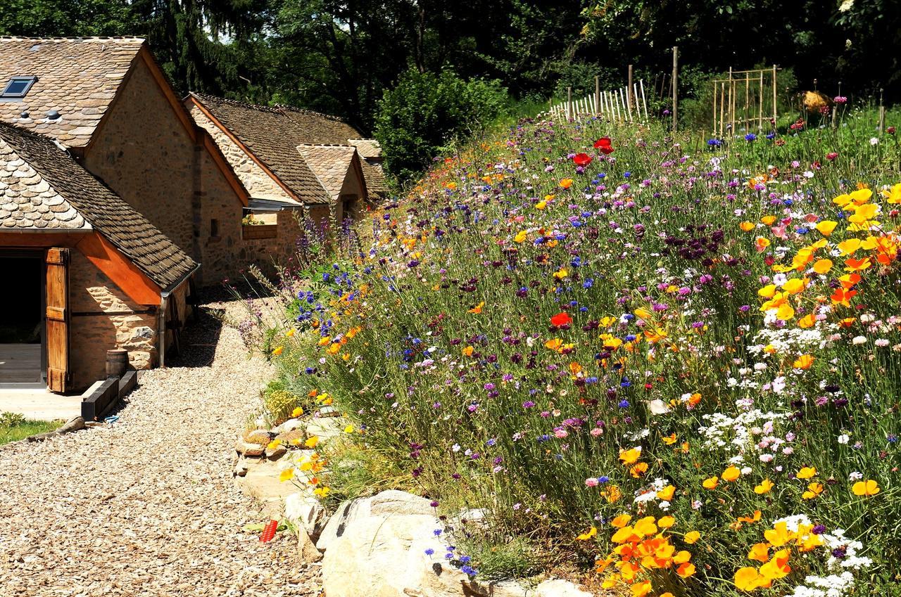 Domaine Des Marequiers Chambre Alchemille Bed and Breakfast Saint-Germain-du-Teil Exterior foto