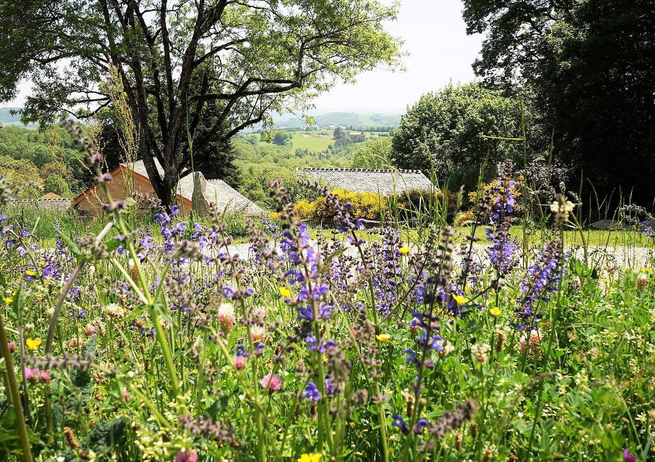 Domaine Des Marequiers Chambre Alchemille Bed and Breakfast Saint-Germain-du-Teil Exterior foto